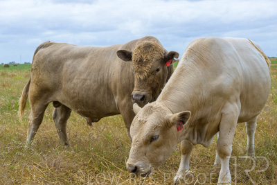 November 2022 / Glenellen_112