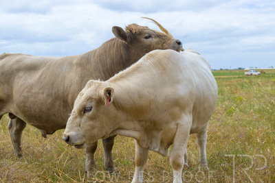 November 2022 / Glenellen_113