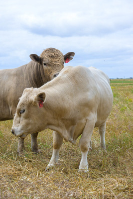 November 2022 / Glenellen_114