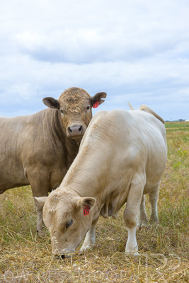 November 2022 / Glenellen_116