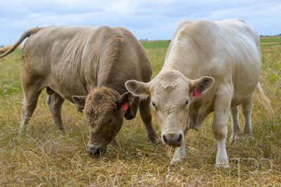 November 2022 / Glenellen_117