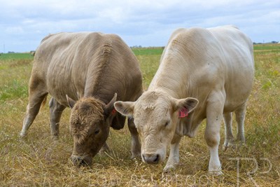 November 2022 / Glenellen_118