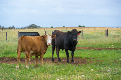 November 2022 / Glenellen_119