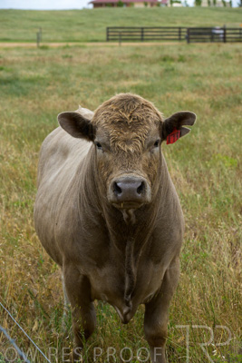 November 2022 / Glenellen_133