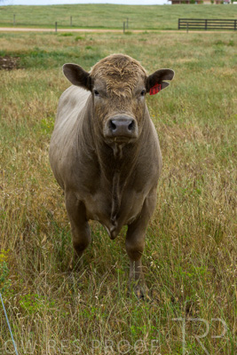 November 2022 / Glenellen_134