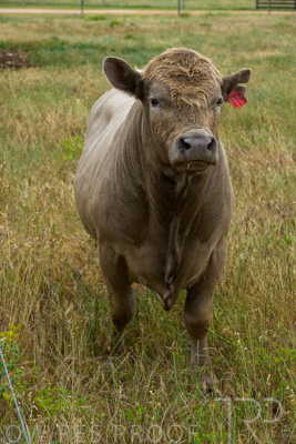 November 2022 / Glenellen_135