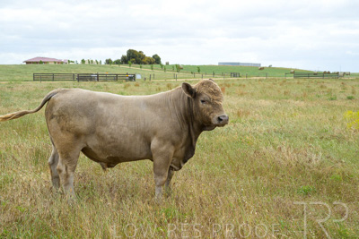 November 2022 / Glenellen_136