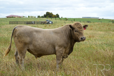 November 2022 / Glenellen_138