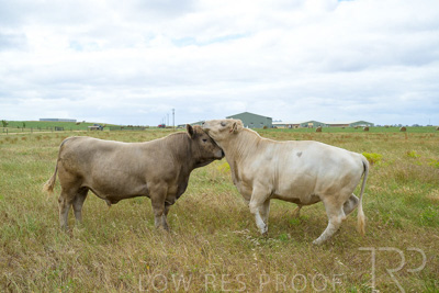 November 2022 / Glenellen_141