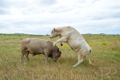 November 2022 / Glenellen_142