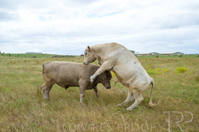 November 2022 / Glenellen_143