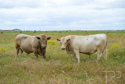 November 2022 / Glenellen_145