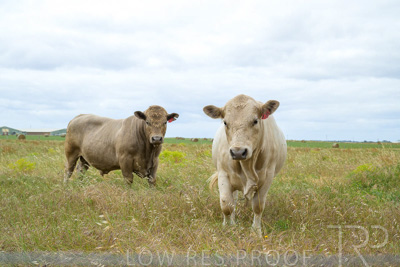 November 2022 / Glenellen_149