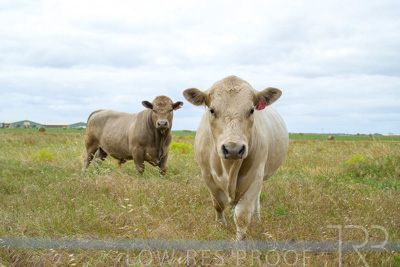 November 2022 / Glenellen_151