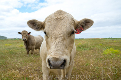 November 2022 / Glenellen_152