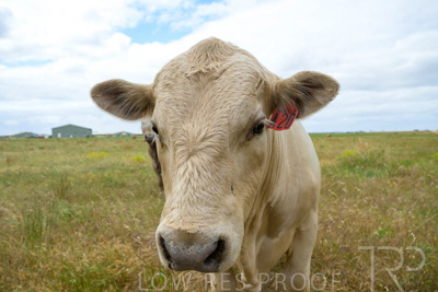 November 2022 / Glenellen_153