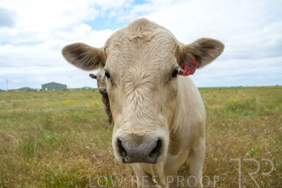 November 2022 / Glenellen_154