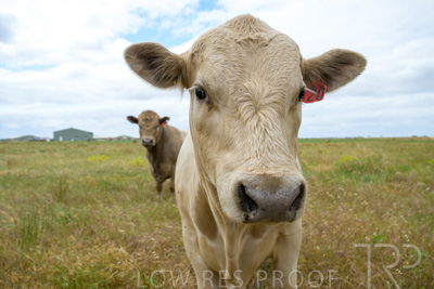 November 2022 / Glenellen_155