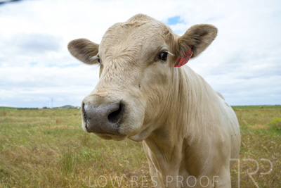 November 2022 / Glenellen_157