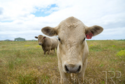 November 2022 / Glenellen_158