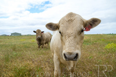 November 2022 / Glenellen_159