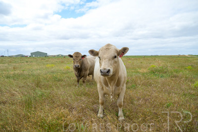 November 2022 / Glenellen_160