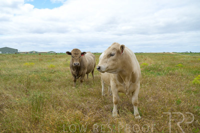 November 2022 / Glenellen_161