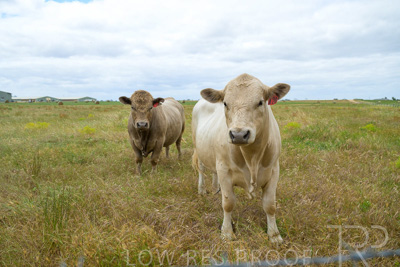 November 2022 / Glenellen_162