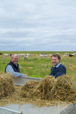 November 2022 / Glenellen_163