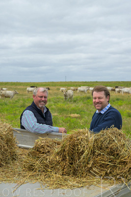 November 2022 / Glenellen_164