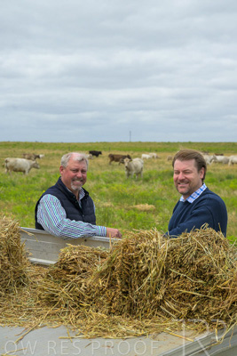 November 2022 / Glenellen_165