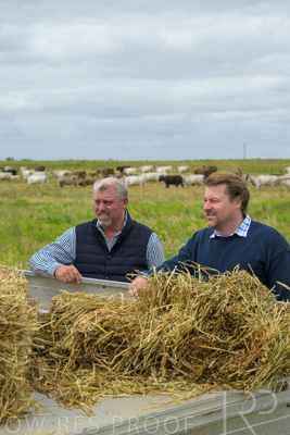 November 2022 / Glenellen_168