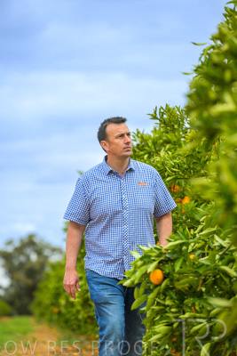 November 2022 / Nippys_077