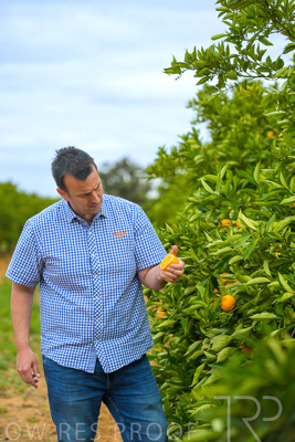 November 2022 / Nippys_100