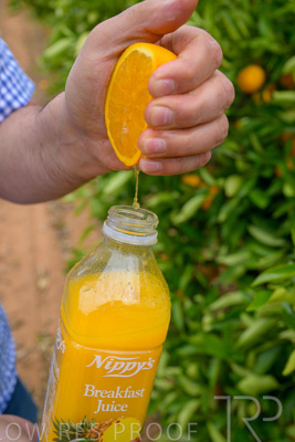 November 2022 / Nippys_129