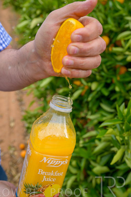 November 2022 / Nippys_130