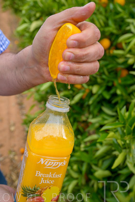 November 2022 / Nippys_131