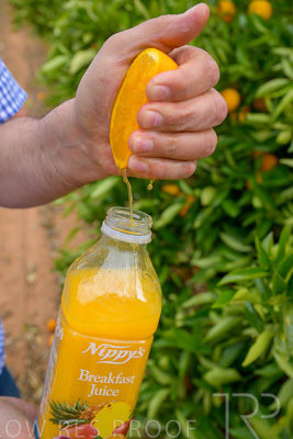 November 2022 / Nippys_132