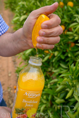 November 2022 / Nippys_133