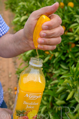 November 2022 / Nippys_134