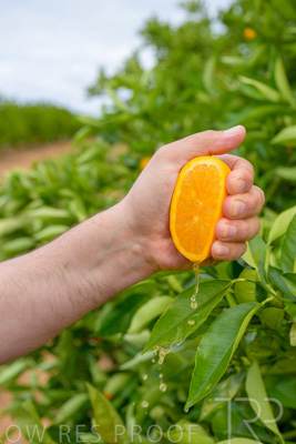 November 2022 / Nippys_137