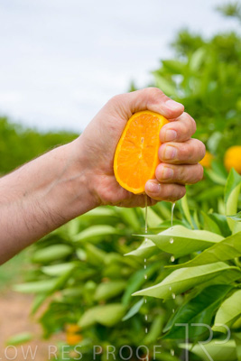 November 2022 / Nippys_138