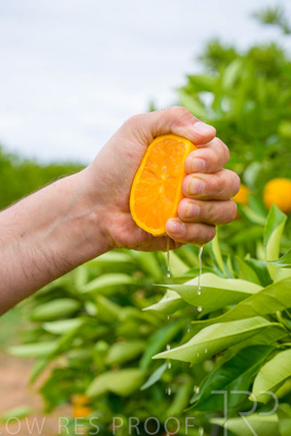 November 2022 / Nippys_139