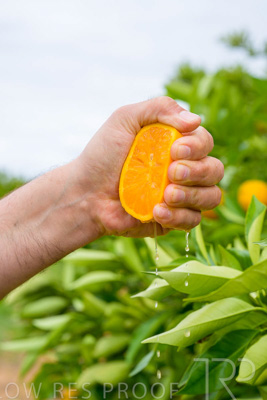 November 2022 / Nippys_140