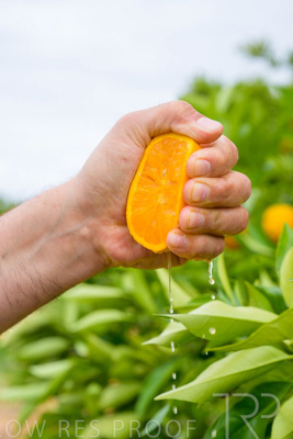 November 2022 / Nippys_141