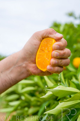 November 2022 / Nippys_142