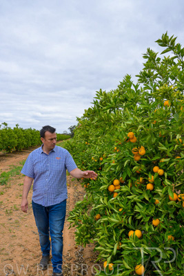 November 2022 / Nippys_144