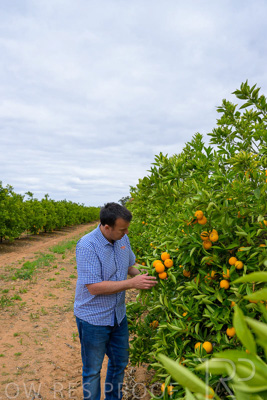 November 2022 / Nippys_145