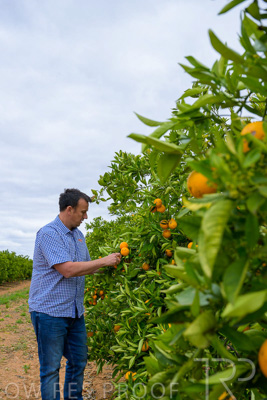 November 2022 / Nippys_147