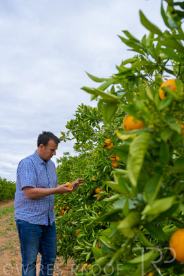 November 2022 / Nippys_148